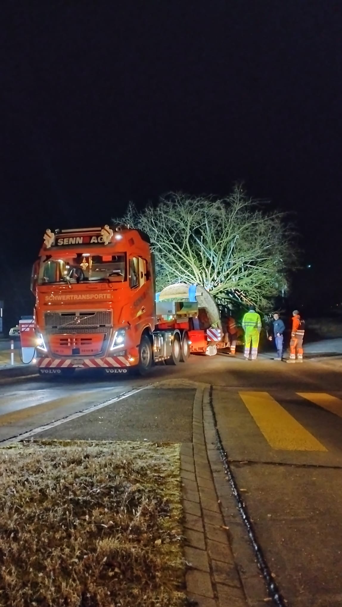 Baumrettung Kobel Gartengestaltung AG Bubikon Gretzenbach Kölliken 2026