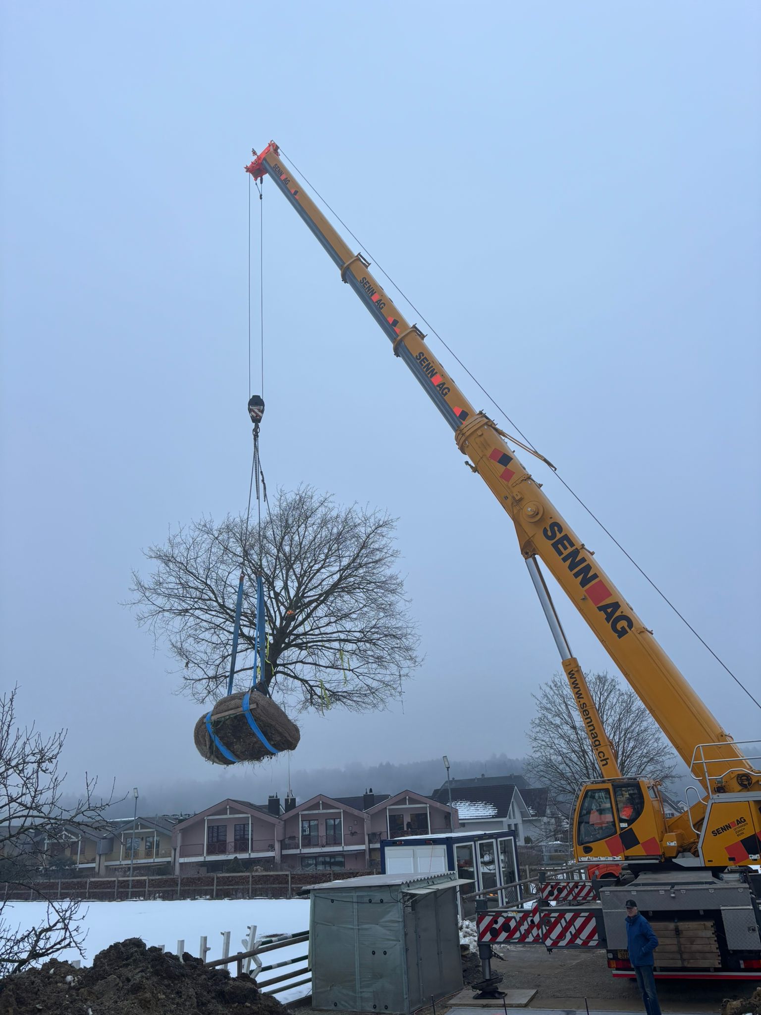 Baumrettung Kobel Gartengestaltung AG Bubikon Gretzenbach Kölliken 2026